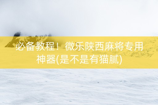 必备教程！微乐陕西麻将专用神器(是不是有猫腻)