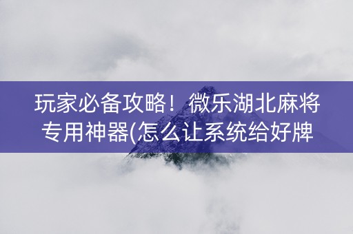 玩家必备攻略！微乐湖北麻将专用神器(怎么让系统给好牌)
