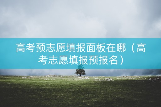 高考预志愿填报面板在哪（高考志愿填报预报名）
