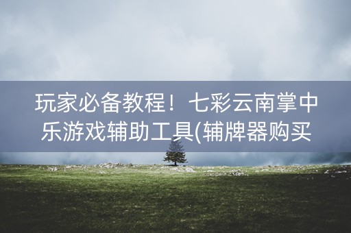 玩家必备教程！七彩云南掌中乐游戏辅助工具(辅牌器购买)