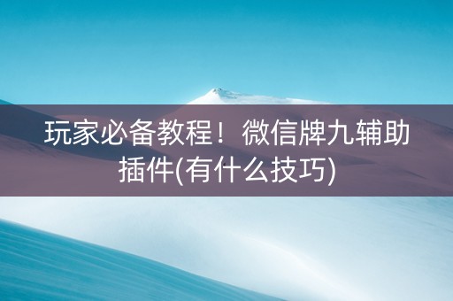 玩家必备教程！微信牌九辅助插件(有什么技巧)