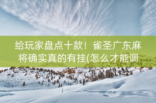 给玩家盘点十款！雀圣广东麻将确实真的有挂(怎么才能调胜率)