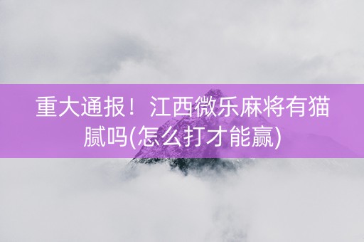 重大通报！江西微乐麻将有猫腻吗(怎么打才能赢)