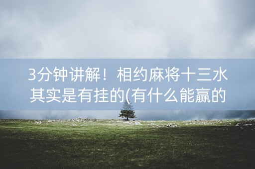 3分钟讲解！相约麻将十三水其实是有挂的(有什么能赢的方法)