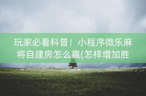 玩家必看科普！小程序微乐麻将自建房怎么赢(怎样增加胜率)