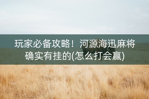玩家必备攻略！河源海迅麻将确实有挂的(怎么打会赢)