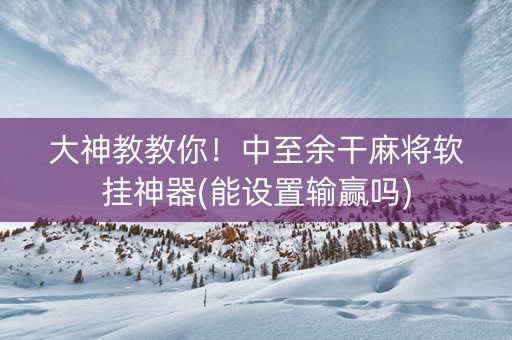 大神教教你！中至余干麻将软挂神器(能设置输赢吗)