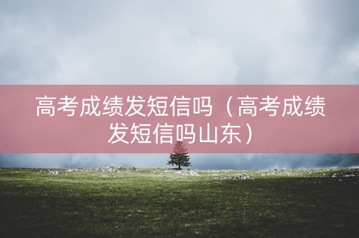 高考成绩发短信吗（高考成绩发短信吗山东）