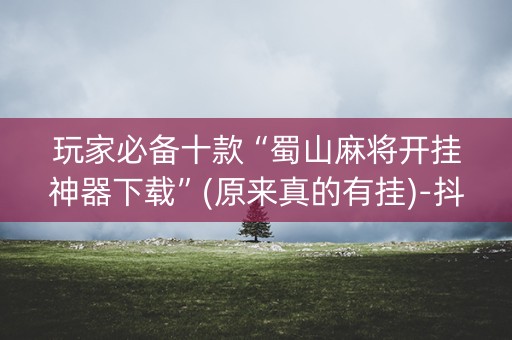 玩家必备十款“蜀山麻将开挂神器下载”(原来真的有挂)-抖音