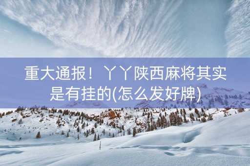 重大通报！丫丫陕西麻将其实是有挂的(怎么发好牌)