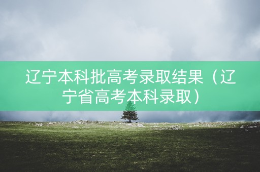 辽宁本科批高考录取结果（辽宁省高考本科录取）