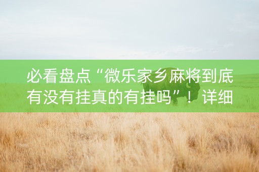 必看盘点“微乐家乡麻将到底有没有挂真的有挂吗”！详细开挂教程（确实真的有挂)-抖音