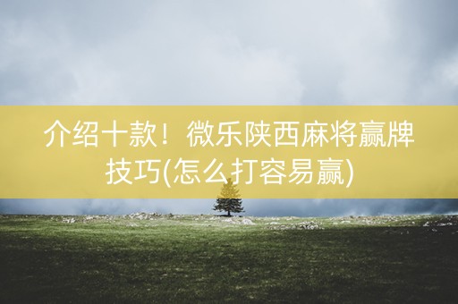介绍十款！微乐陕西麻将赢牌技巧(怎么打容易赢)