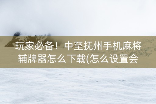 玩家必备！中至抚州手机麻将辅牌器怎么下载(怎么设置会赢)