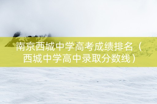 南京西城中学高考成绩排名（西城中学高中录取分数线）