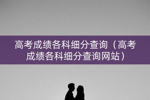 高考成绩各科细分查询（高考成绩各科细分查询网站）