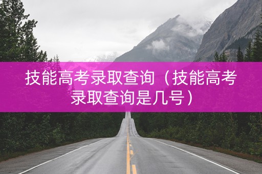 技能高考录取查询（技能高考录取查询是几号）