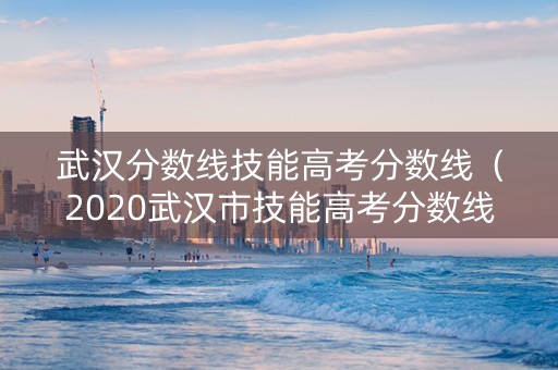 武汉分数线技能高考分数线（2020武汉市技能高考分数线）