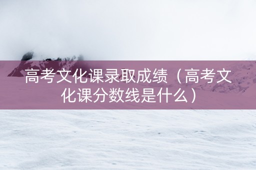 高考文化课录取成绩（高考文化课分数线是什么）