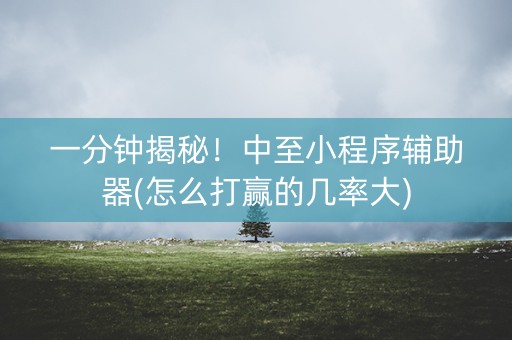 一分钟揭秘！中至小程序辅助器(怎么打赢的几率大)