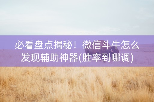 必看盘点揭秘！微信斗牛怎么发现辅助神器(胜率到哪调)