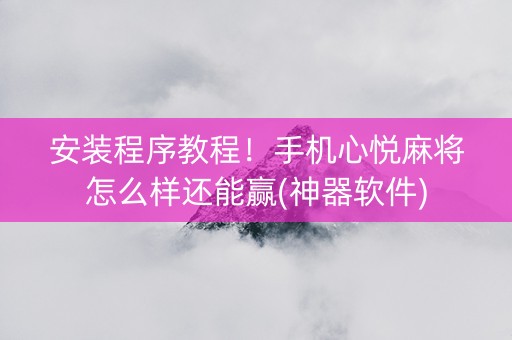 安装程序教程！手机心悦麻将怎么样还能赢(神器软件)