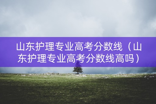 山东护理专业高考分数线（山东护理专业高考分数线高吗）