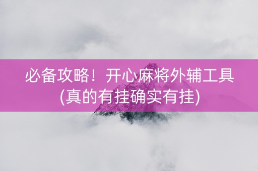 必备攻略！开心麻将外辅工具(真的有挂确实有挂)