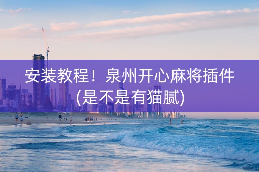 安装教程！泉州开心麻将插件(是不是有猫腻)