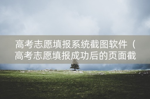 高考志愿填报系统截图软件（高考志愿填报成功后的页面截图）