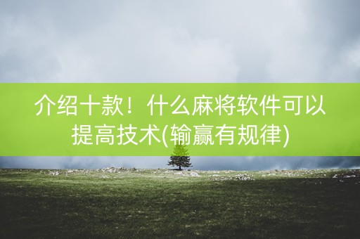 介绍十款！什么麻将软件可以提高技术(输赢有规律)
