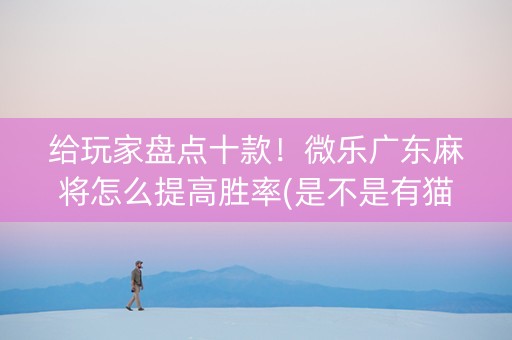 给玩家盘点十款！微乐广东麻将怎么提高胜率(是不是有猫腻)