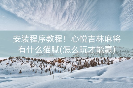 安装程序教程！心悦吉林麻将有什么猫腻(怎么玩才能赢)