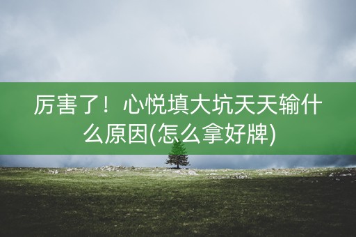 厉害了！心悦填大坑天天输什么原因(怎么拿好牌)