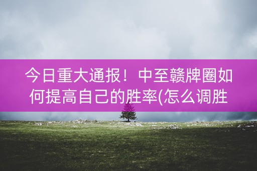 今日重大通报！中至赣牌圈如何提高自己的胜率(怎么调胜率)