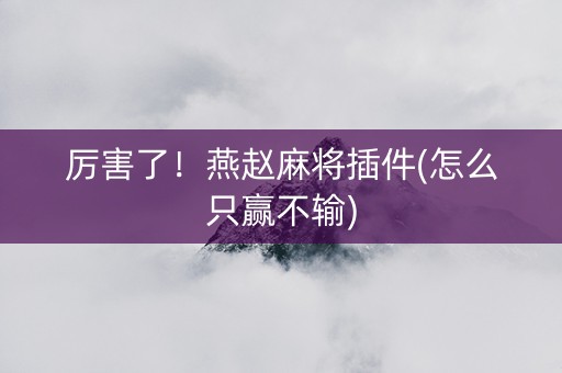 厉害了！燕赵麻将插件(怎么只赢不输)