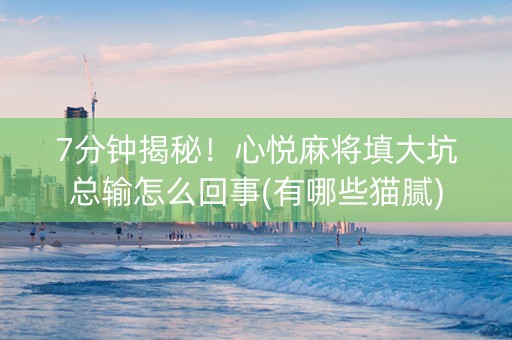 7分钟揭秘！心悦麻将填大坑总输怎么回事(有哪些猫腻)