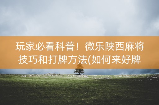 玩家必看科普！微乐陕西麻将技巧和打牌方法(如何来好牌)
