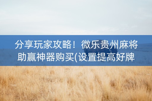 分享玩家攻略！微乐贵州麻将助赢神器购买(设置提高好牌几率)