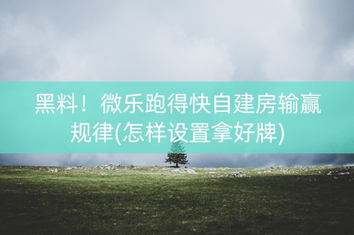 黑料！微乐跑得快自建房输赢规律(怎样设置拿好牌)