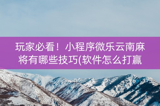 玩家必看！小程序微乐云南麻将有哪些技巧(软件怎么打赢)