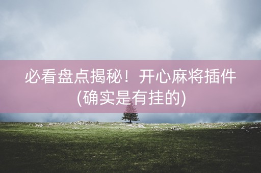必看盘点揭秘！开心麻将插件(确实是有挂的)
