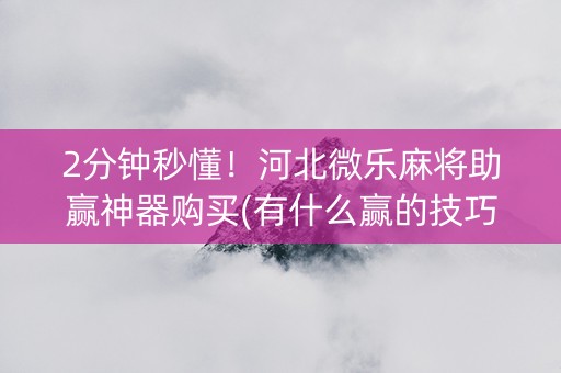 2分钟秒懂！河北微乐麻将助赢神器购买(有什么赢的技巧)
