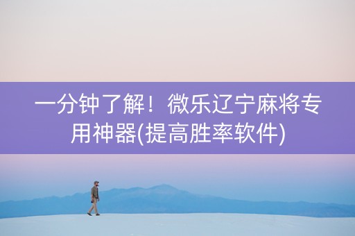 一分钟了解！微乐辽宁麻将专用神器(提高胜率软件)