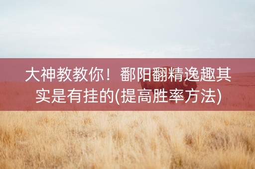 大神教教你！鄱阳翻精逸趣其实是有挂的(提高胜率方法)