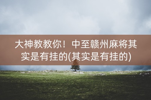 大神教教你！中至赣州麻将其实是有挂的(其实是有挂的)