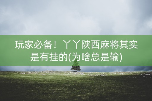 玩家必备！丫丫陕西麻将其实是有挂的(为啥总是输)