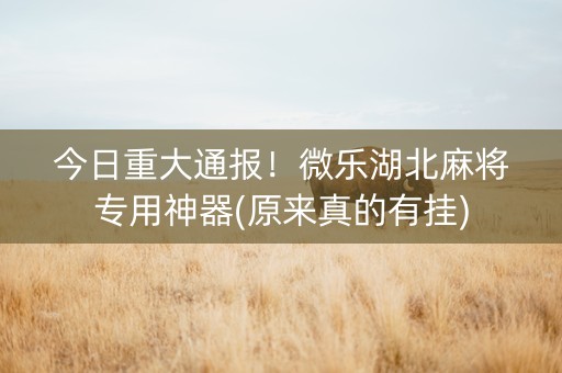 今日重大通报！微乐湖北麻将专用神器(原来真的有挂)