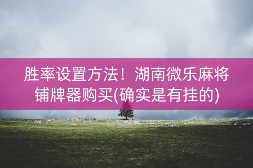 胜率设置方法！湖南微乐麻将铺牌器购买(确实是有挂的)