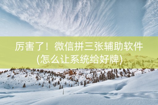 厉害了！微信拼三张辅助软件(怎么让系统给好牌)